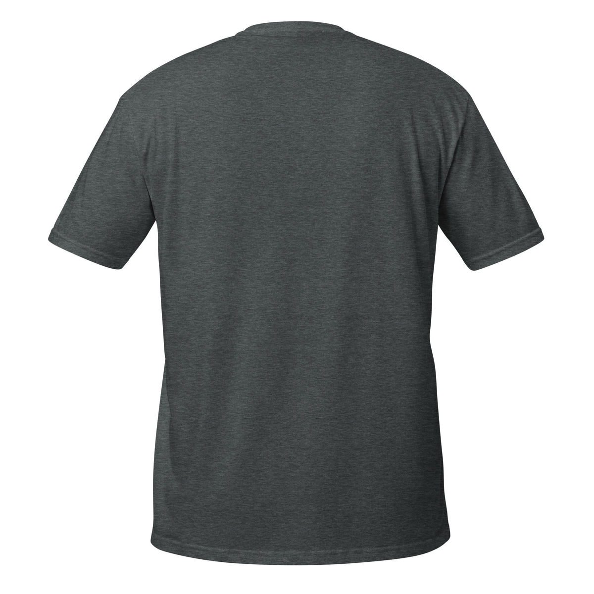 Spooky Scary unisex tee in dark heather, back view, unprinted
