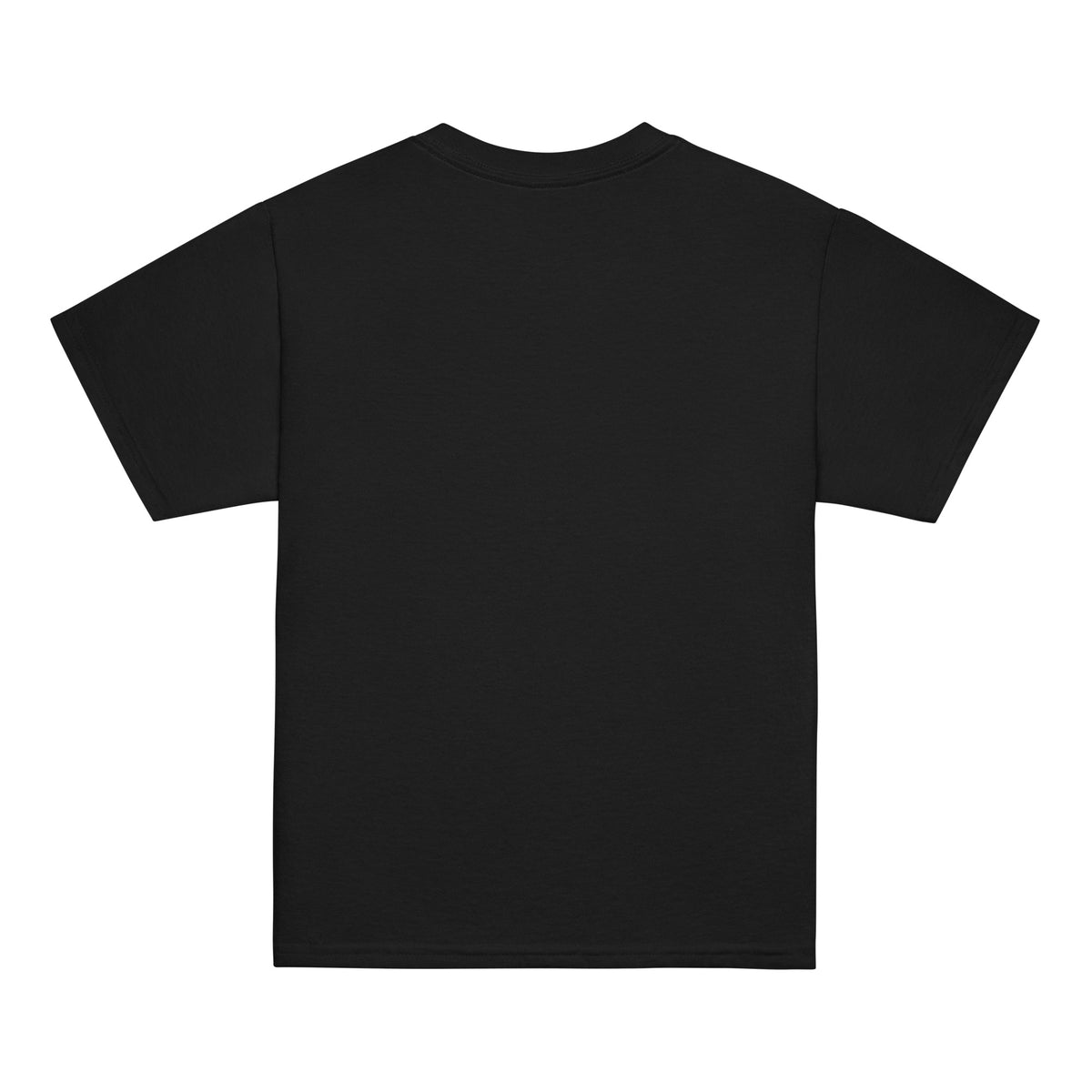 Spooky Scary youth tee in black, back view, unprinted