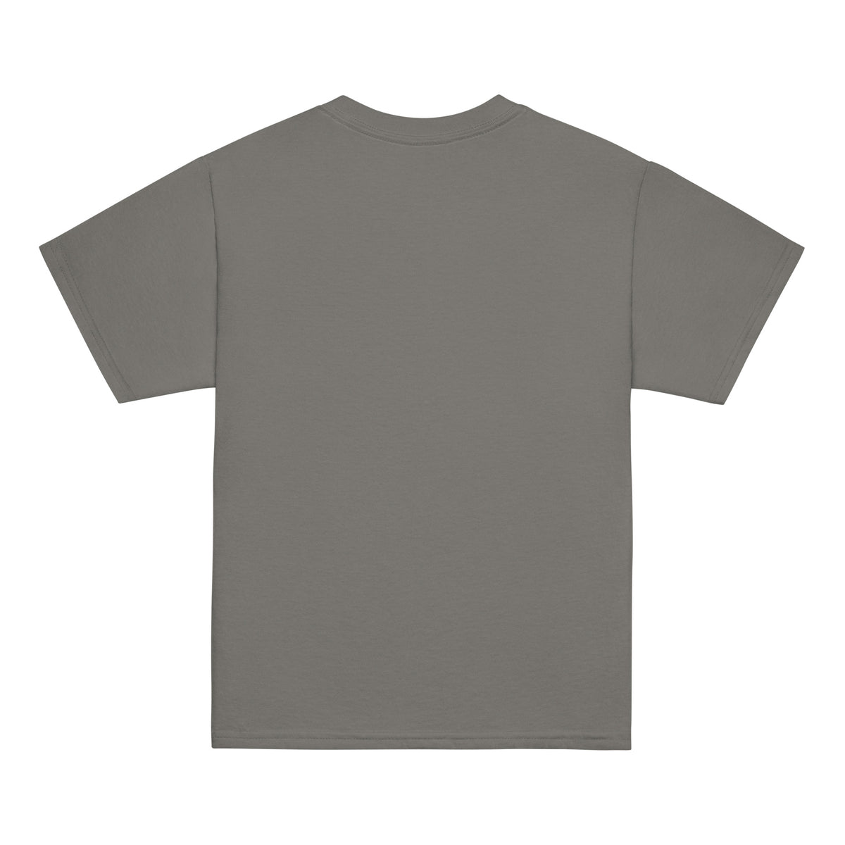 Spooky Scary youth tee in charcoal, back view, unprinted